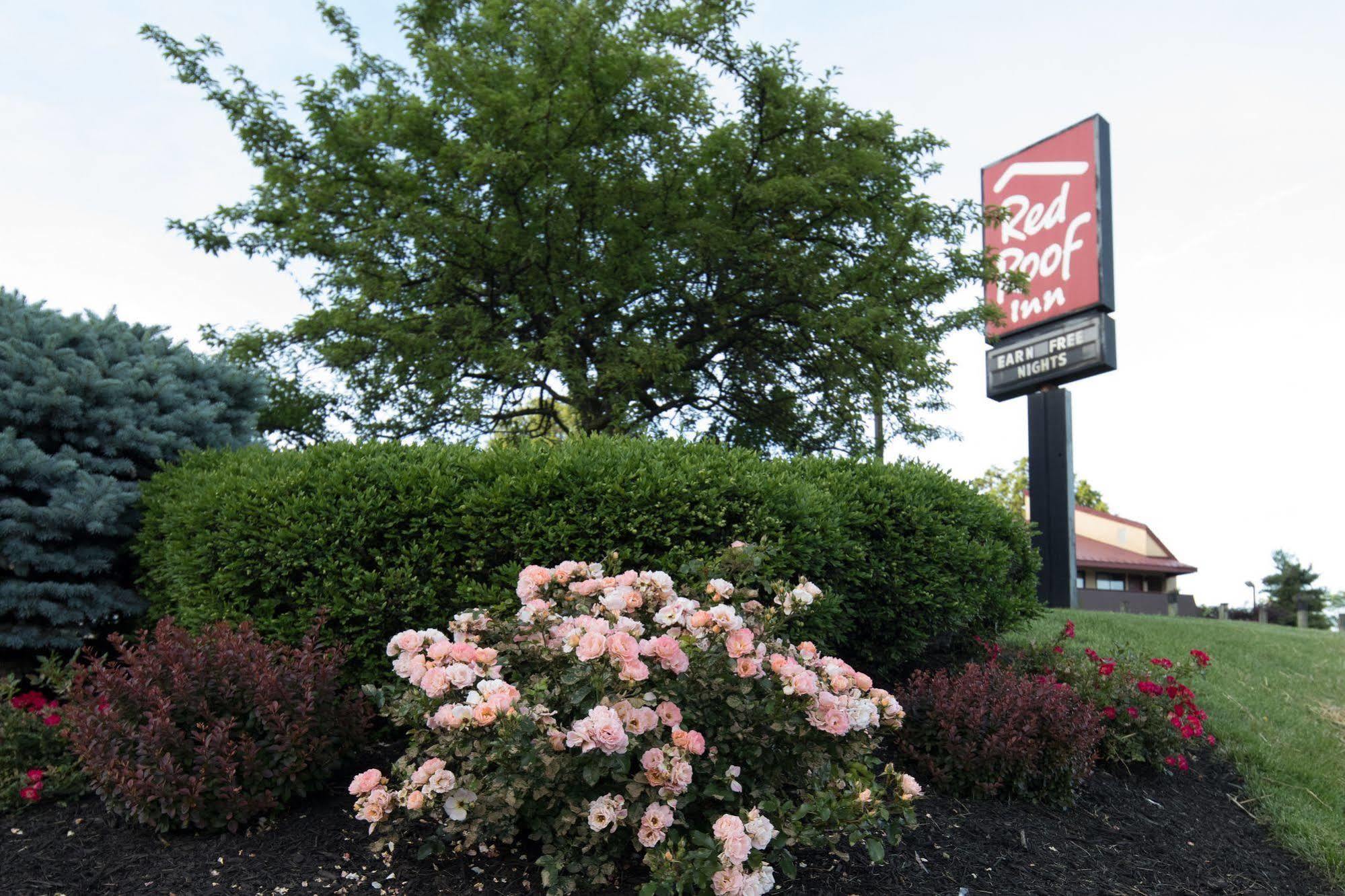 Red Roof Inn Cincinnati Northeast - Блу Аш Екстериор снимка